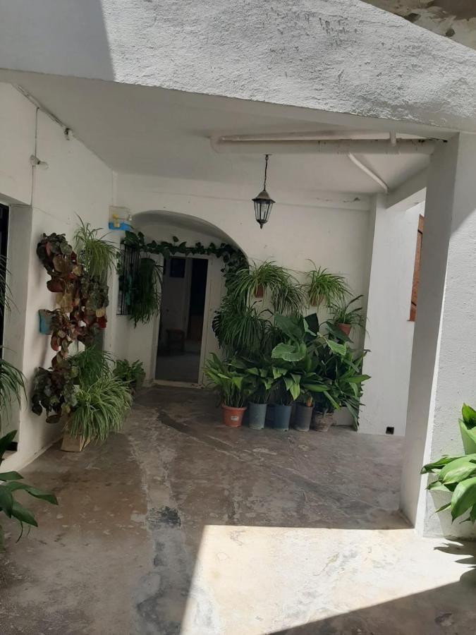 Estudio Del Zaguan Villa Vejer de la Frontera Dış mekan fotoğraf